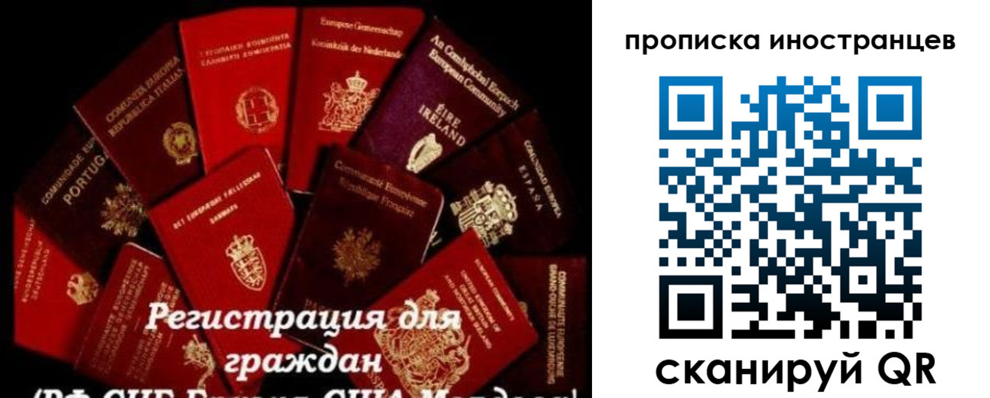 временная регистрация 2025 в Суворове